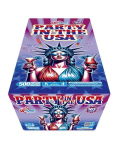 SS5GS2511-party-in-the-usa